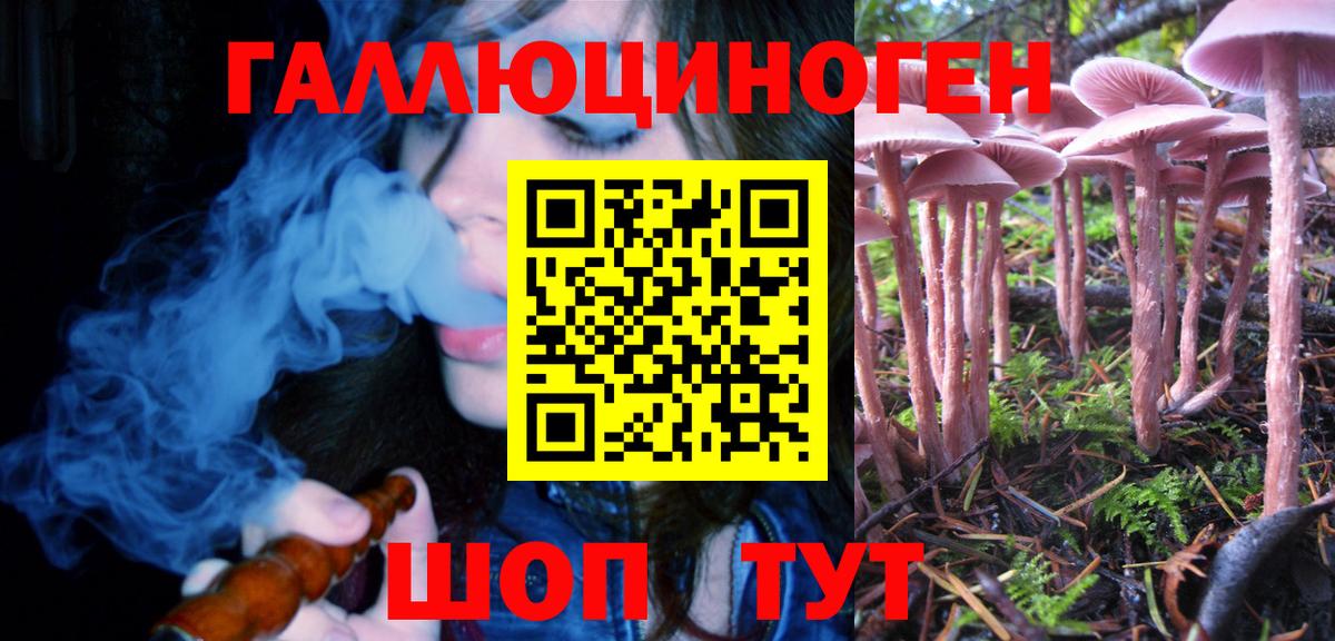 Берёзовский  Галлюциногенные грибы MAGIC MUSHROOMS  Вход с VPN 