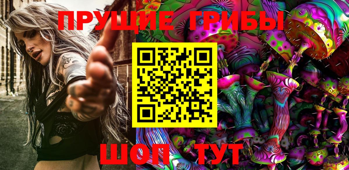 Псилоцибиновые грибы Cubensis  Псилоцибиновые грибы прущие грибы  Берёзовский 